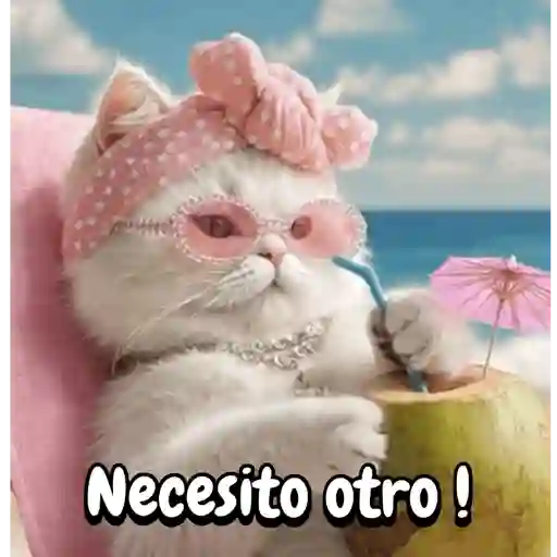Reaccion gatuna San Valentín♥️ preview