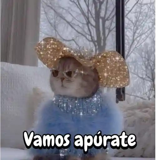 Reaccion gatuna San Valentín♥️