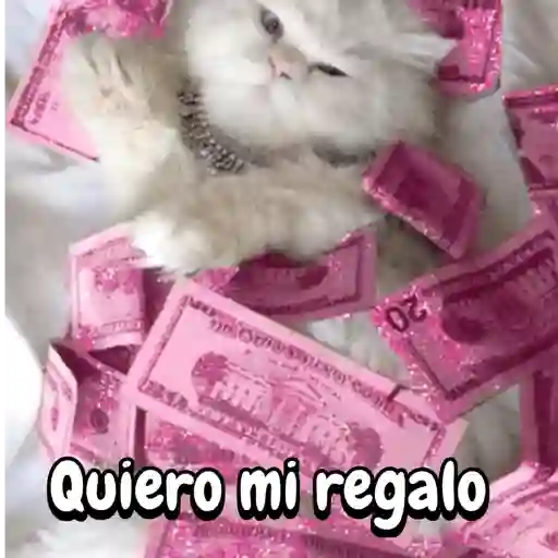 Reaccion gatuna San Valentín♥️