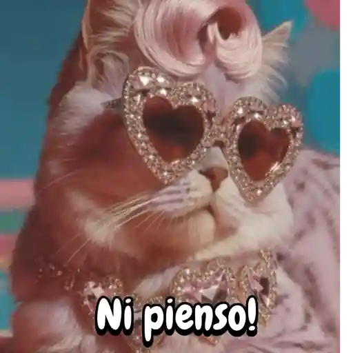 Reaccion gatuna San Valentín♥️ preview