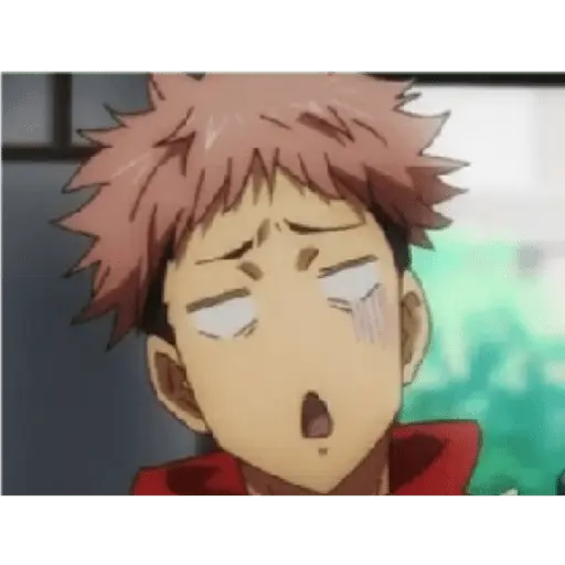 jujutsu kaisen