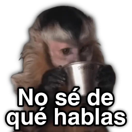✨ Memes mix 10 🪄 🔥
