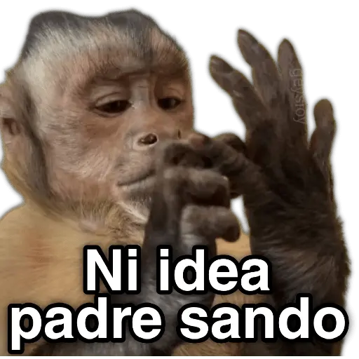 ✨ Memes mix 10 🪄 🔥