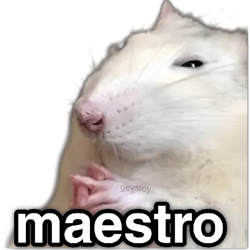 ✨ Memes mix 10 🪄 🔥