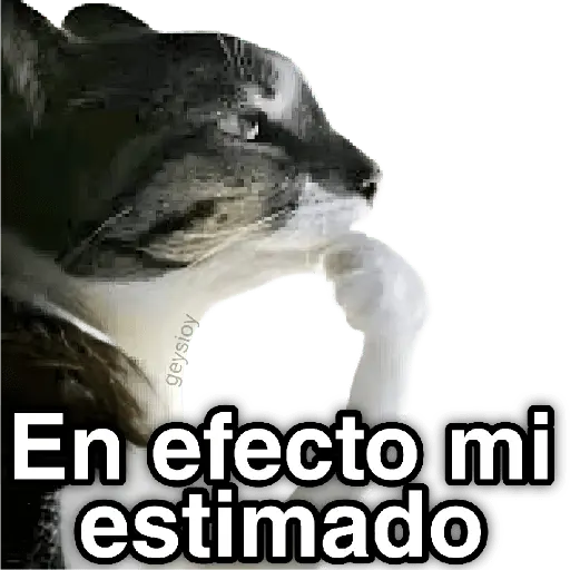✨ Memes mix 10 🪄 🔥