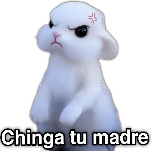 ✨ Memes mix 10 🪄 🔥