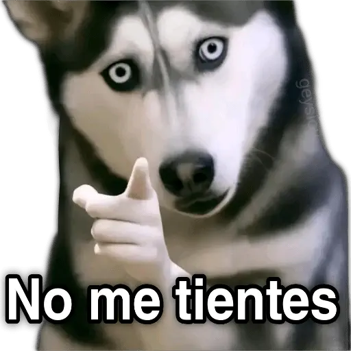 ✨ Memes mix 10 🪄 🔥