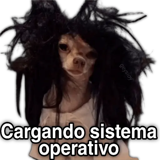 ✨ Memes mix 10 🪄 🔥