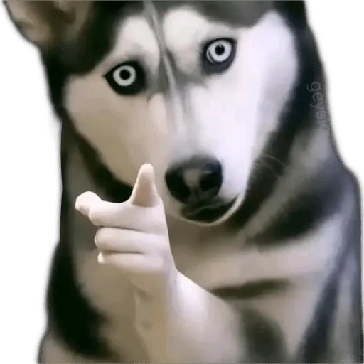 ✨ Memes mix 10 🪄 🔥
