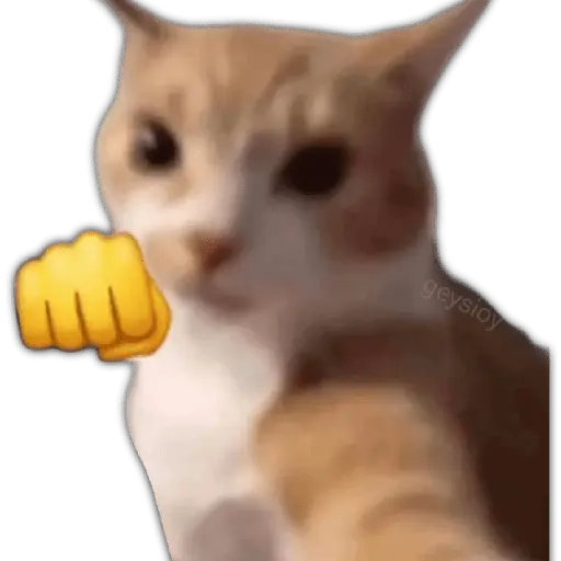 ✨ Memes mix 10 🪄 🔥