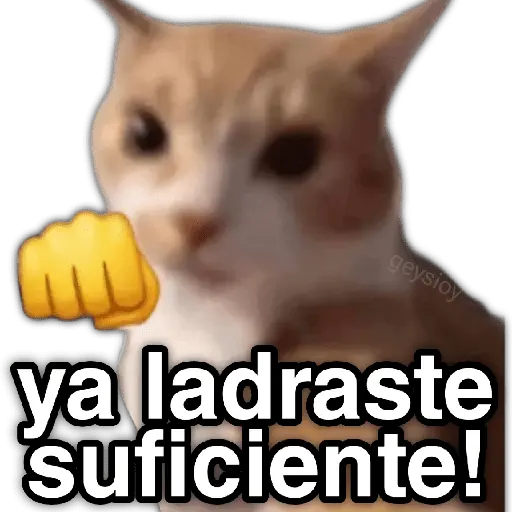 ✨ Memes mix 10 🪄 🔥