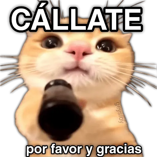 ✨ Memes mix 10 🪄 🔥