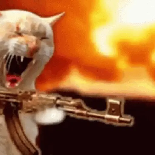 🐈‍⬛🐈😡 GATOS ENOJADOS 😡🐈🐈‍⬛