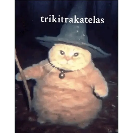 Tik tok memes 