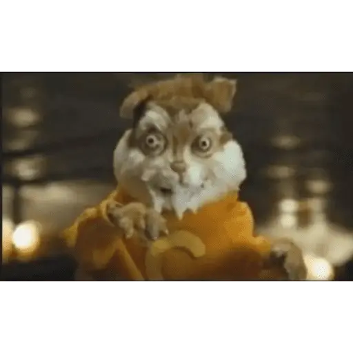 Tik tok memes 