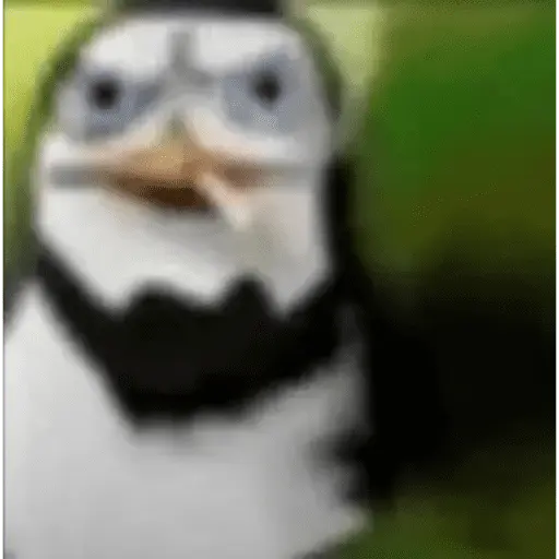 Tik tok memes 
