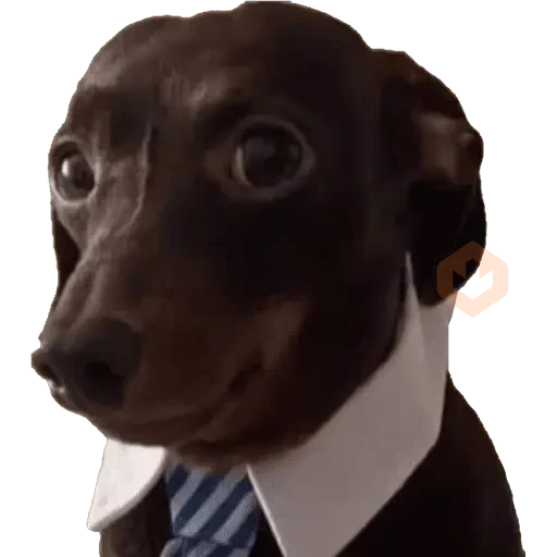 Snoopy sticker 11