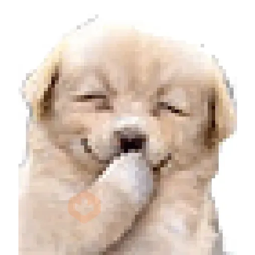 FRIO XEREQUINHA sticker 29