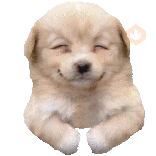 FRIO XEREQUINHA sticker 26