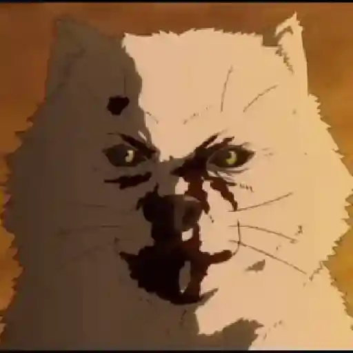 animeses 5