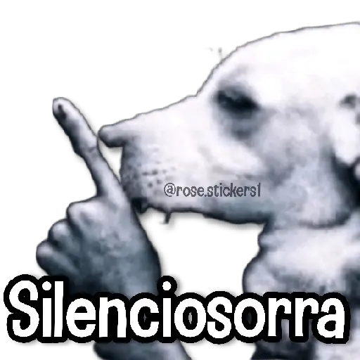 Memes en Tendencia🔥