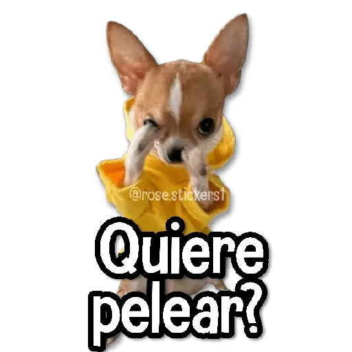 Memes en Tendencia🔥
