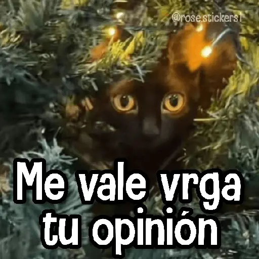 Memes en Tendencia🔥