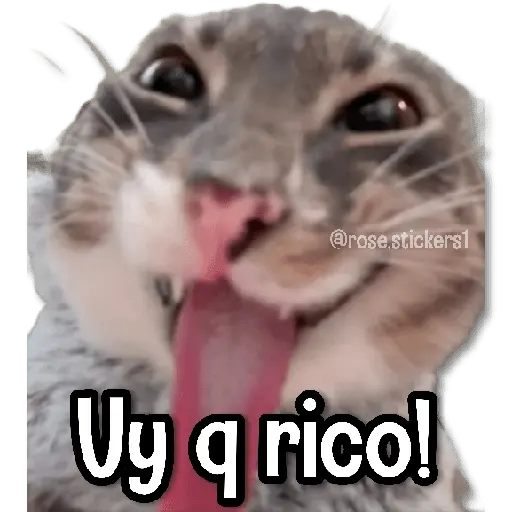 Memes en Tendencia🔥