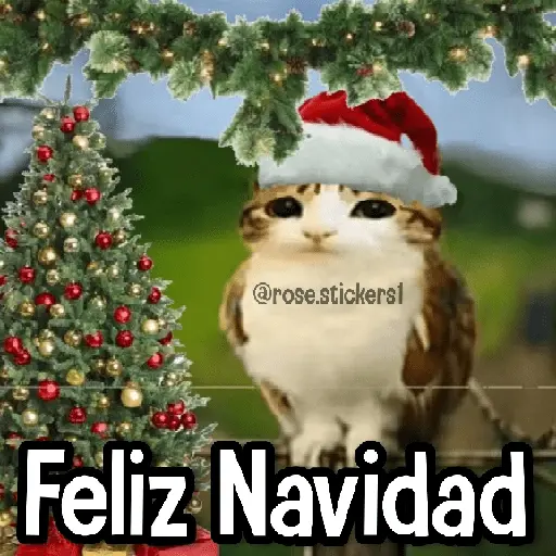 Memes en Tendencia🔥
