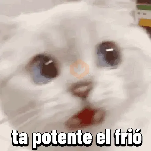 frio🥶 sticker 12
