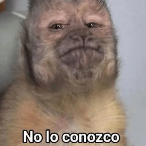 🍋‍🟩💬 Animales pal CHAT 💬🍋‍🟩