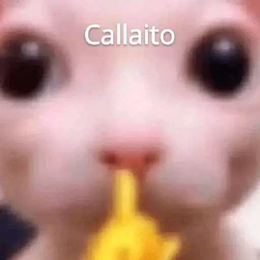 🍋‍🟩💬 Animales pal CHAT 💬🍋‍🟩