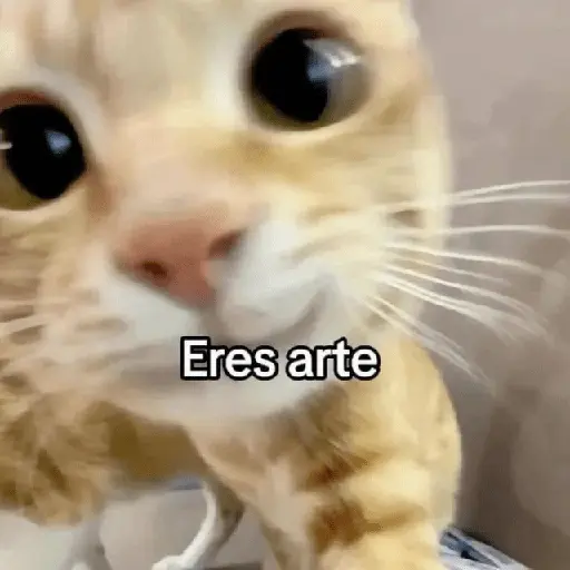 🍋‍🟩💬 Animales pal CHAT 💬🍋‍🟩