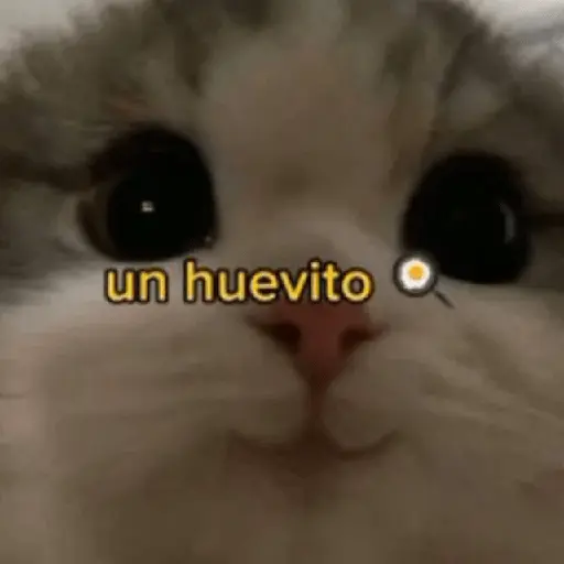 🍋‍🟩💬 Animales pal CHAT 💬🍋‍🟩
