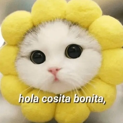 🍋‍🟩💬 Animales pal CHAT 💬🍋‍🟩
