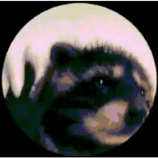 tray-icon