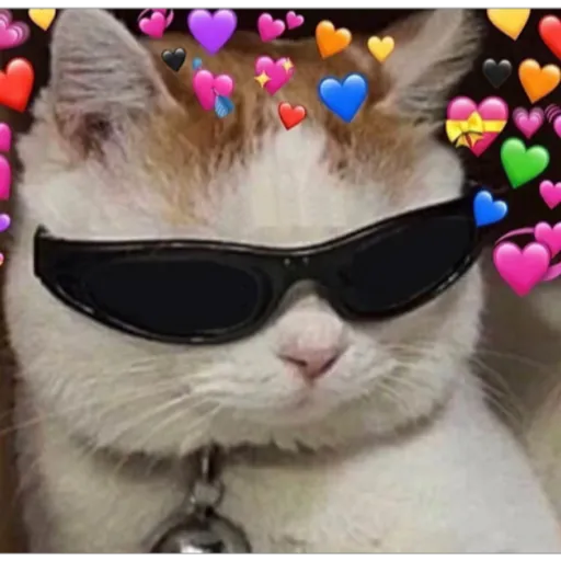 modo uwu