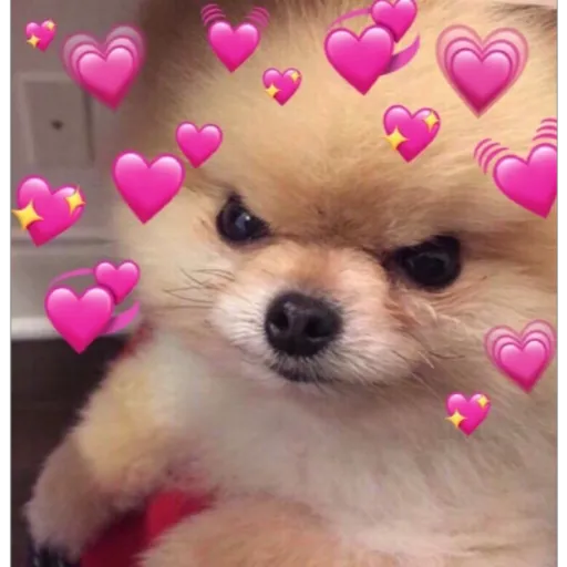 modo uwu