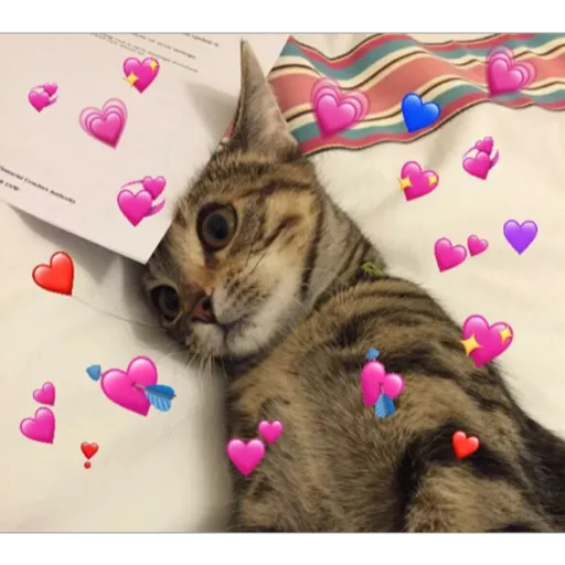 modo uwu