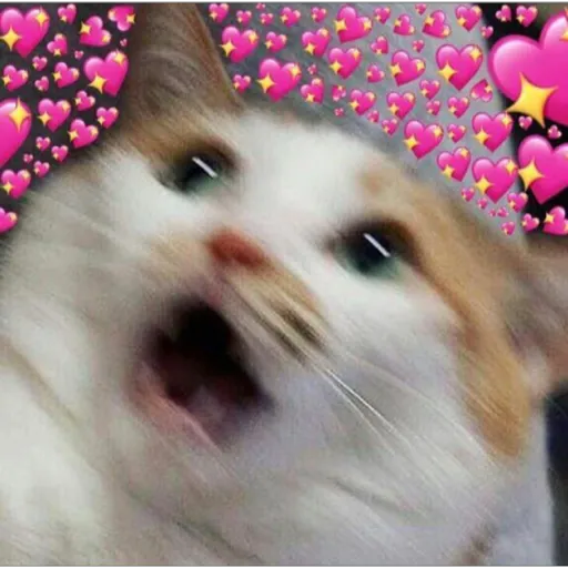 modo uwu
