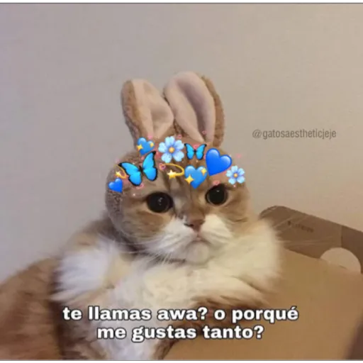 modo uwu