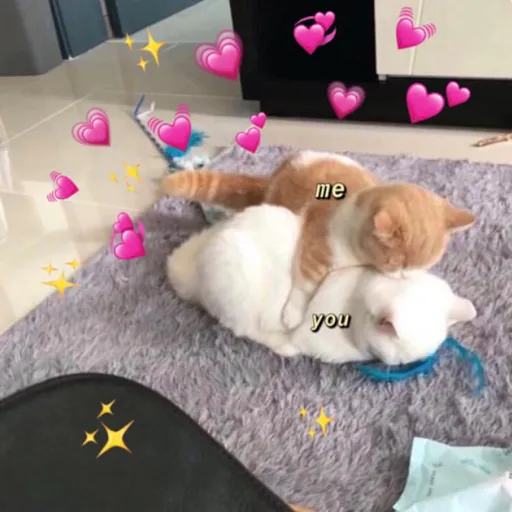 modo uwu