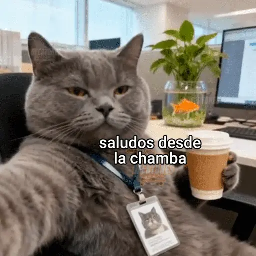 Memes pal trabajo 2026 😂