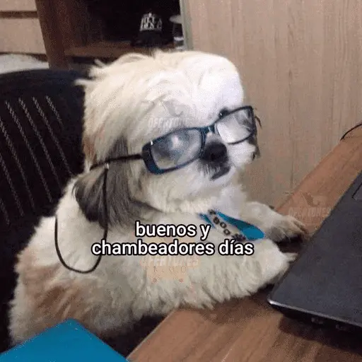 Memes pal trabajo 2026 😂