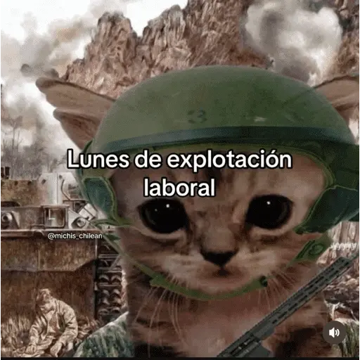 Memes pal trabajo 2026 😂