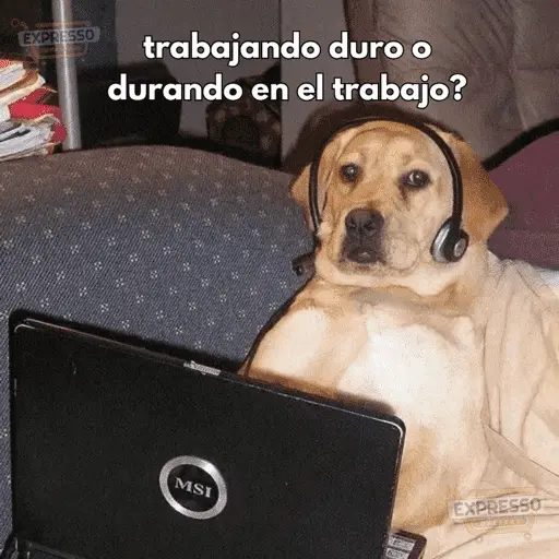 Memes pal trabajo 2026 😂