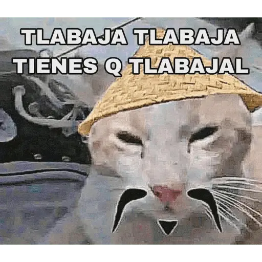 Memes pal trabajo 2026 😂