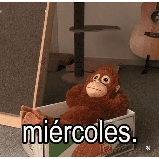 Memes pal trabajo 2026 😂