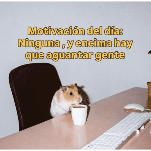 Memes pal trabajo 2026 😂 preview