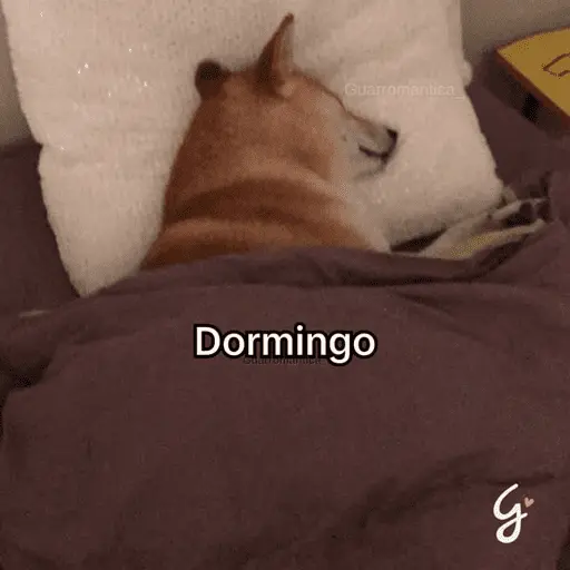 Memes pal trabajo 2026 😂